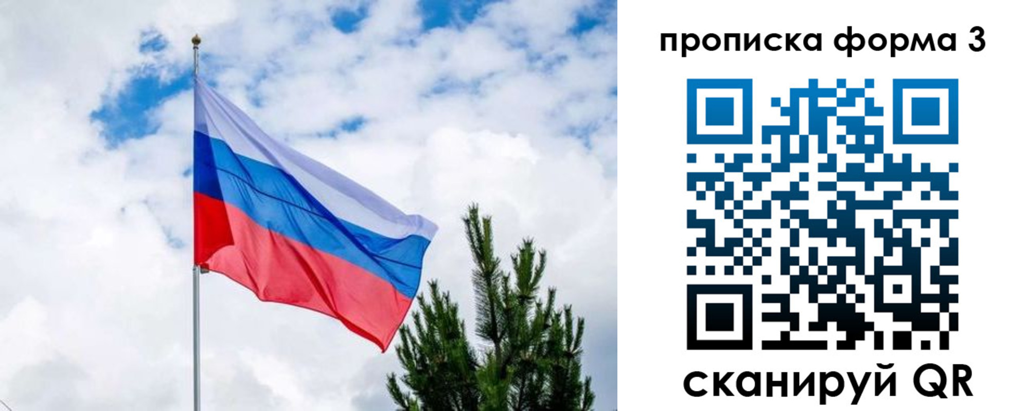 прописка для школы в Приозерске